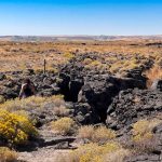 A person walks among black volcanic rocks and yellow wildflowers in a dry, open landscape under a clear blue sky. Distant hills can be seen in the background. Hagerman, ID